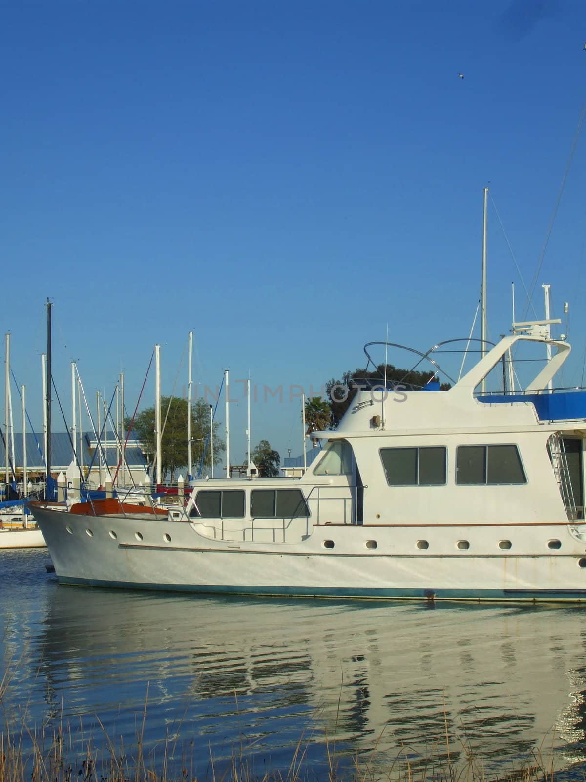 Big new marina on a sunny day.