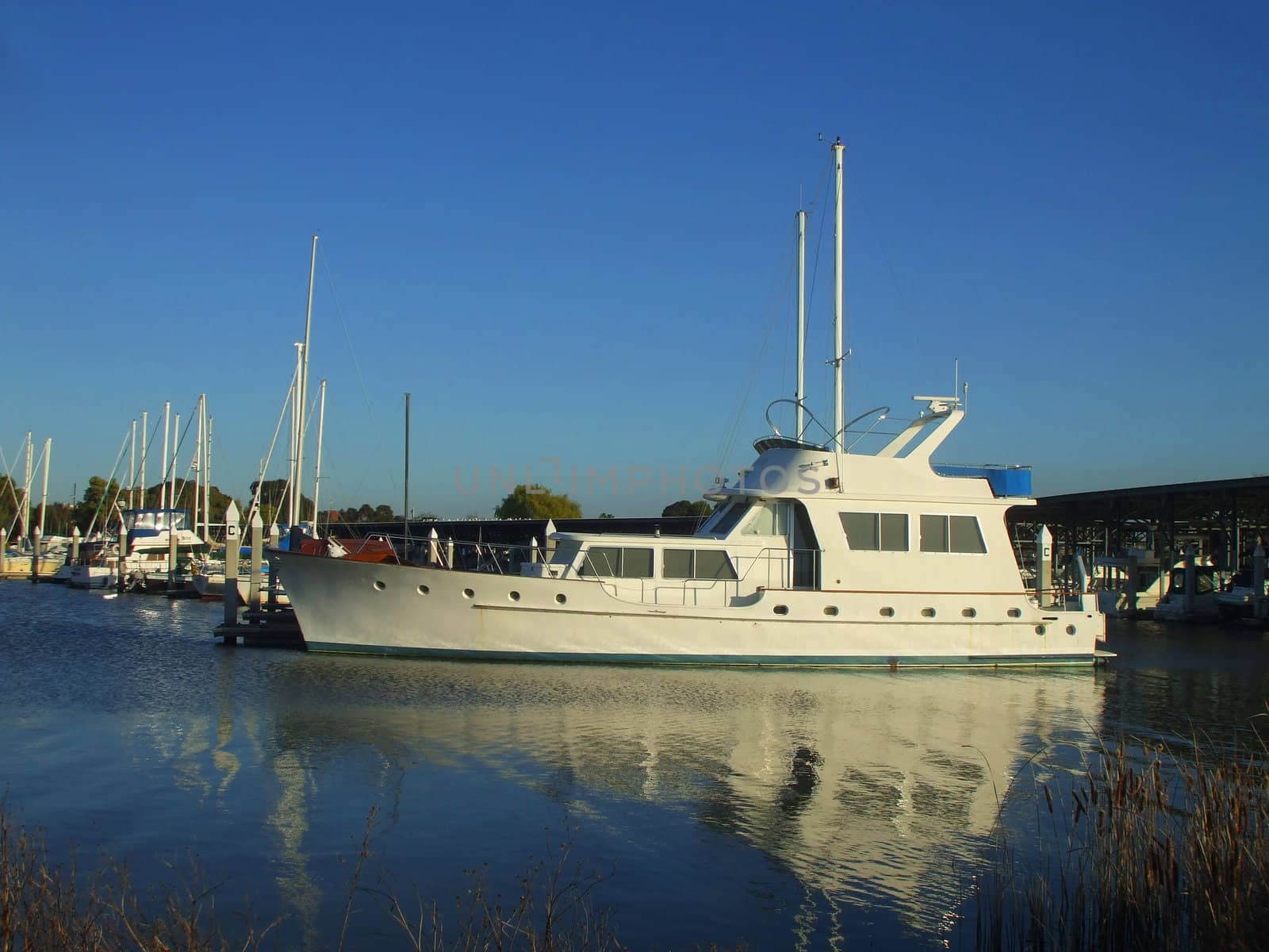 Big new marina on a sunny day.