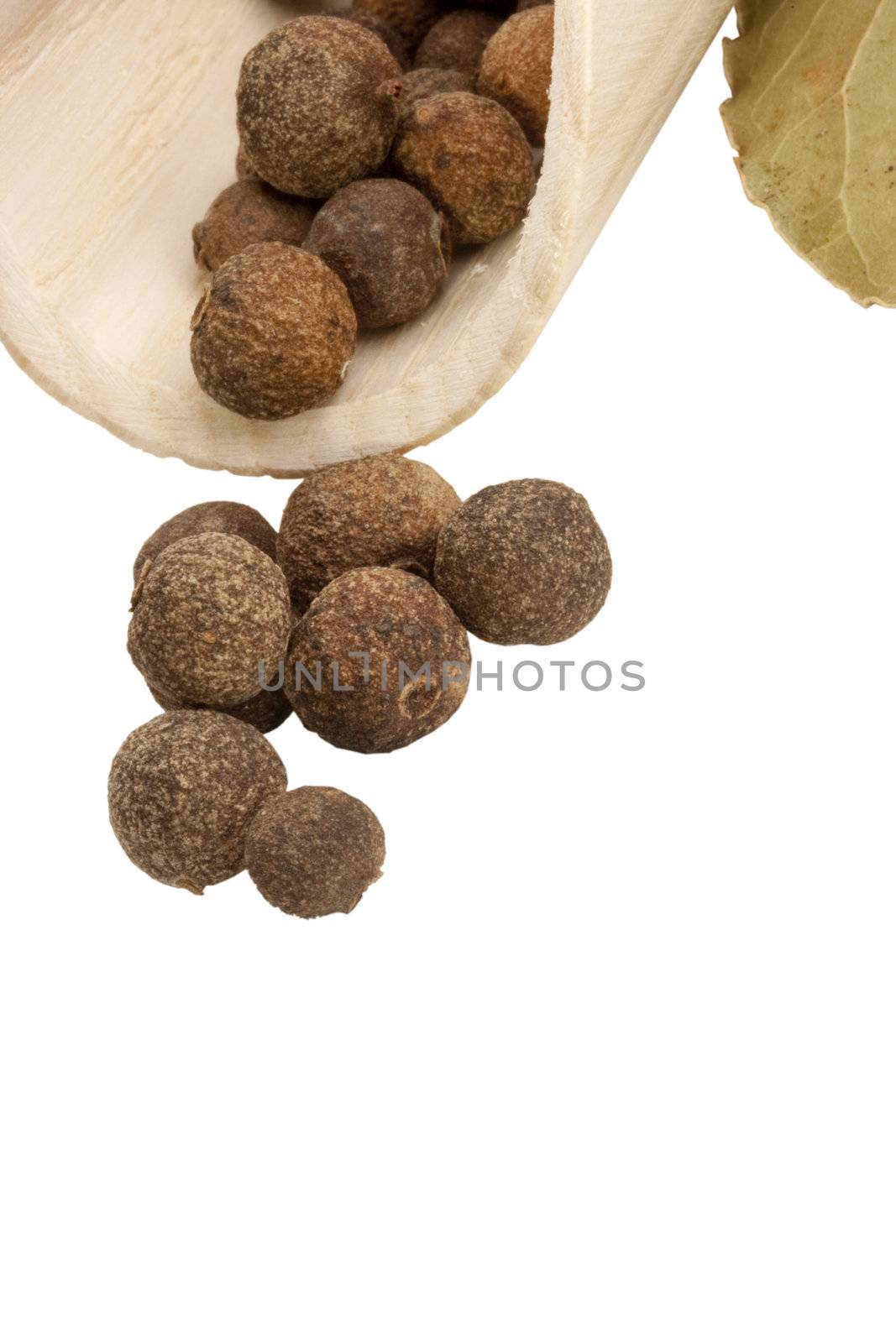 Spices for addition in food on a white background.