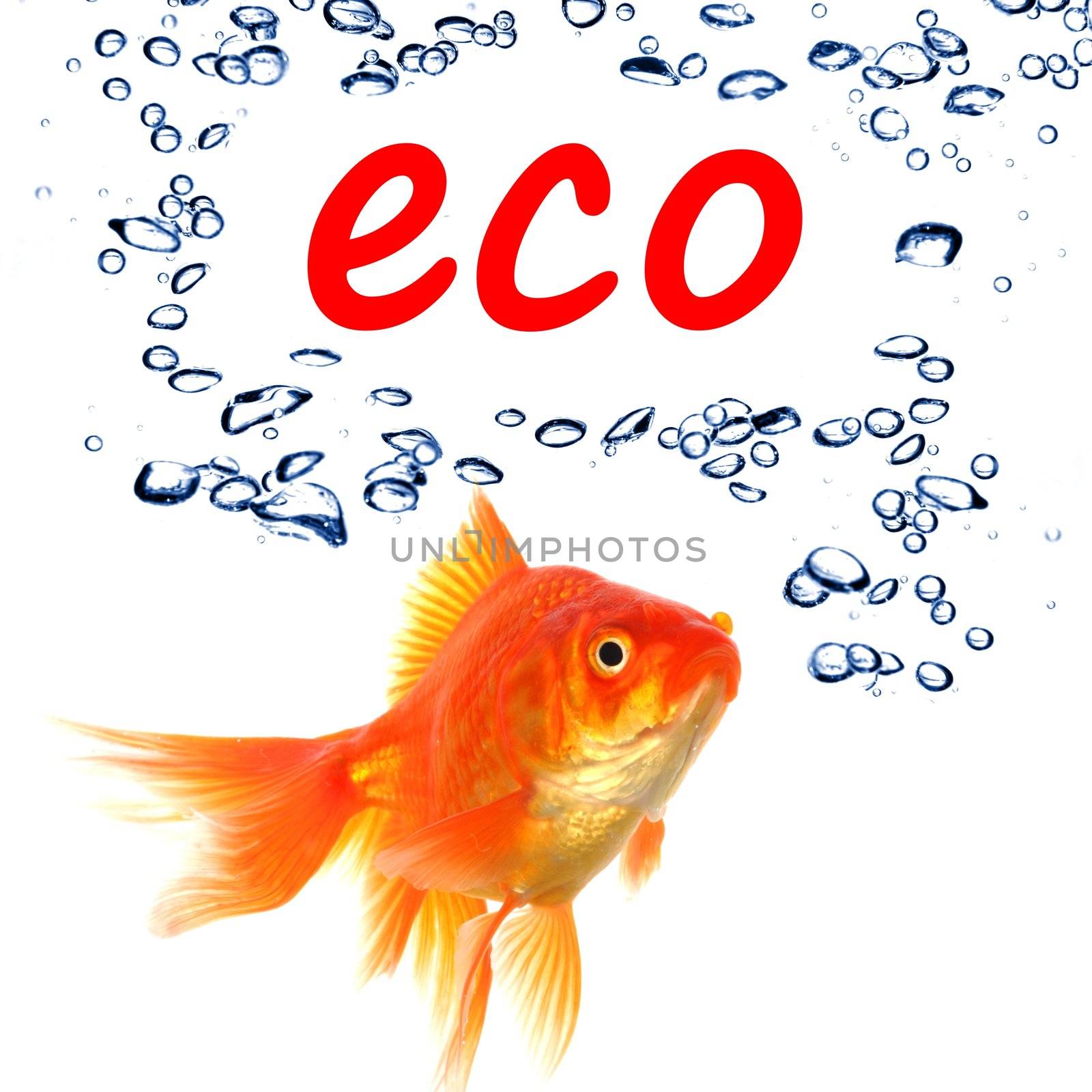 eco by gunnar3000