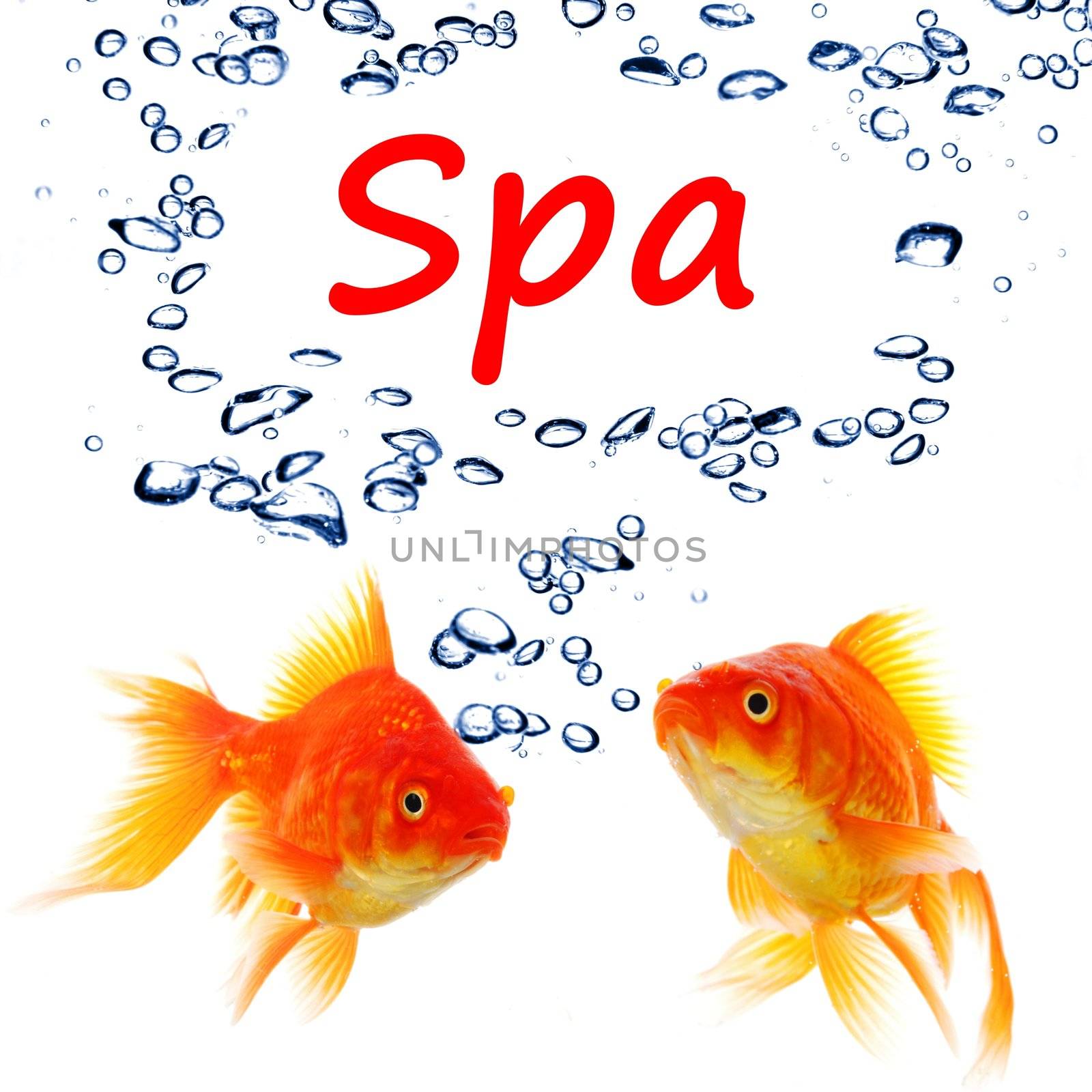 spa concept with goldfish and water bubbles on white background