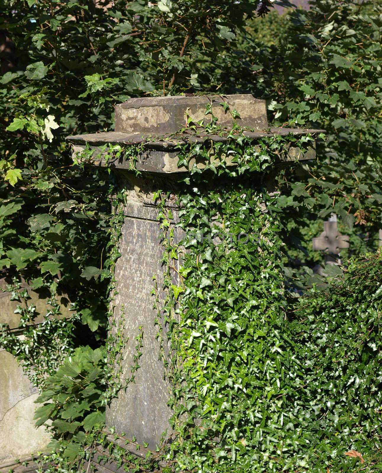 A gothic tomb in an ancient churchyard