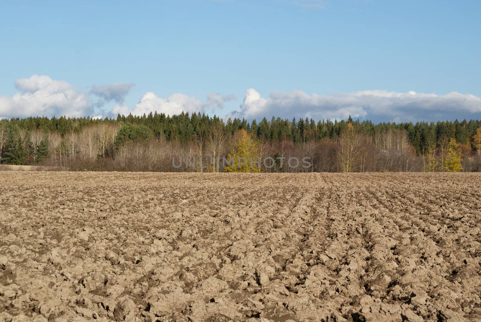 A ploughed field, forest and blue sky with few clouds on a day in October. Photographed in Salo, Finland 2010.