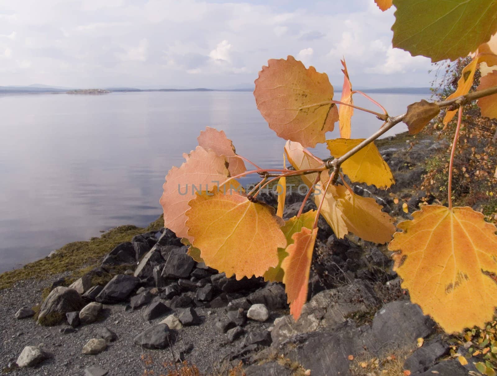 Photo of a sea landscape in the autumn