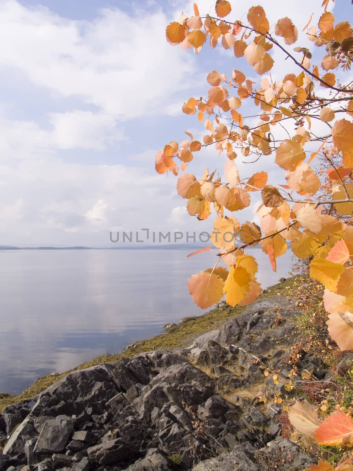 Photo of a sea landscape in the autumn