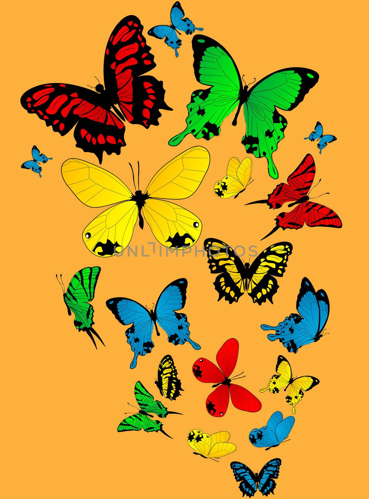 Color butterflies by Lirch