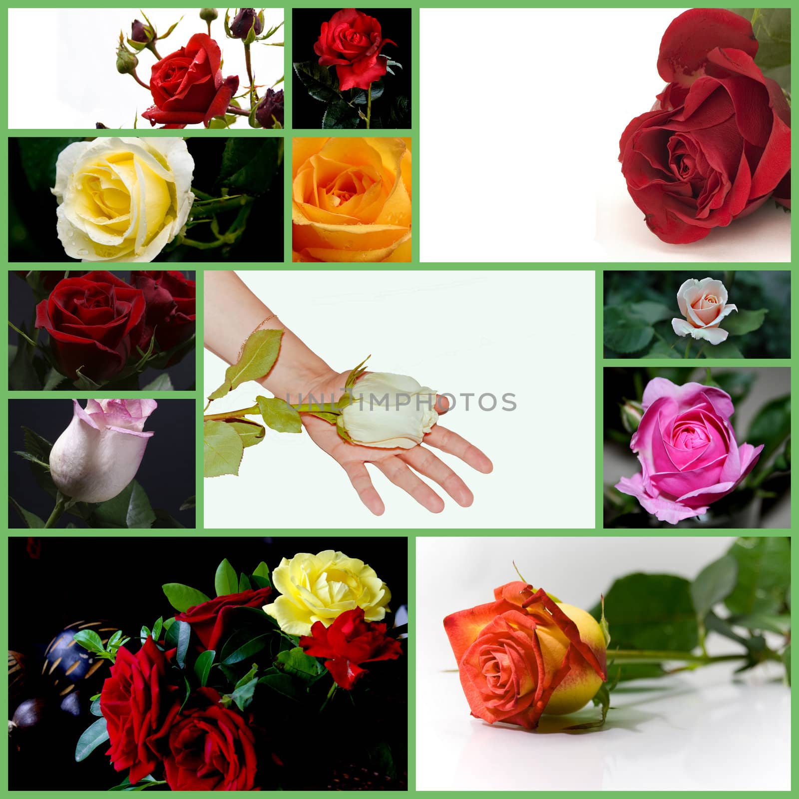 Roses of different colors in the hands of women.