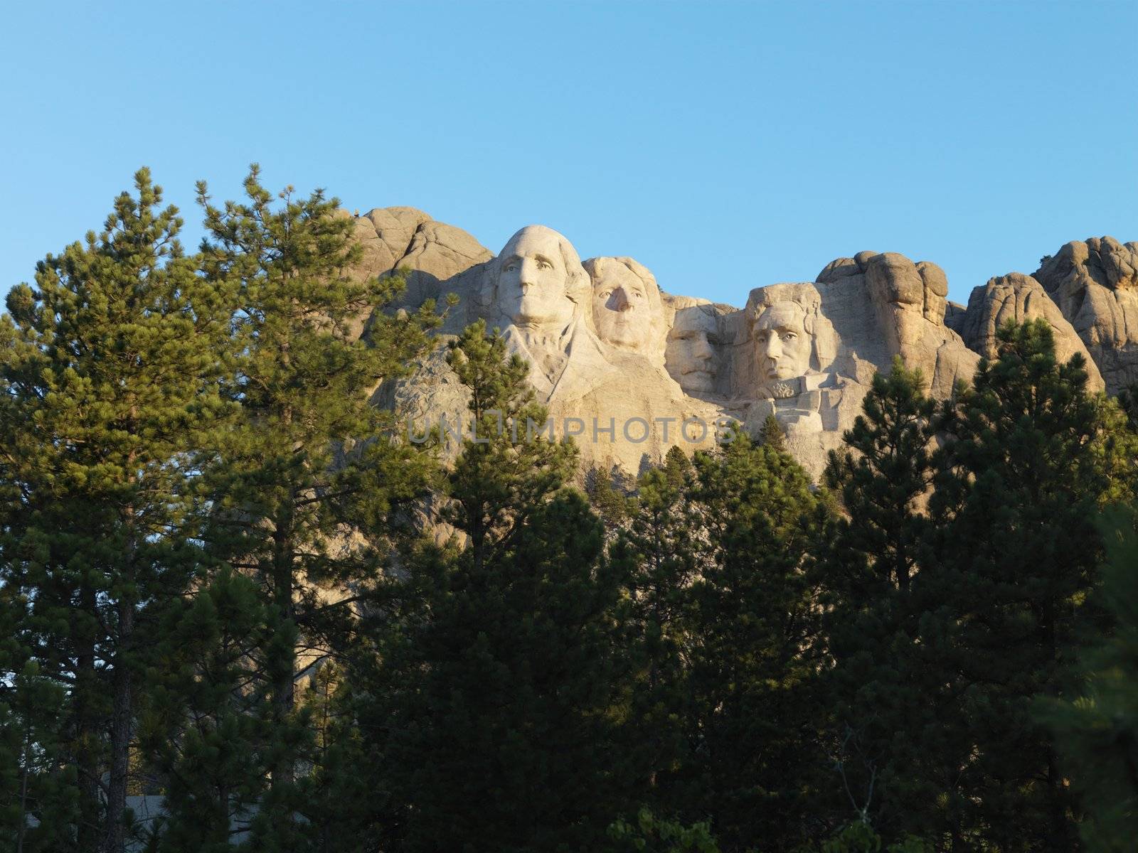 Mount Rushmore National Memorial seen through trees.