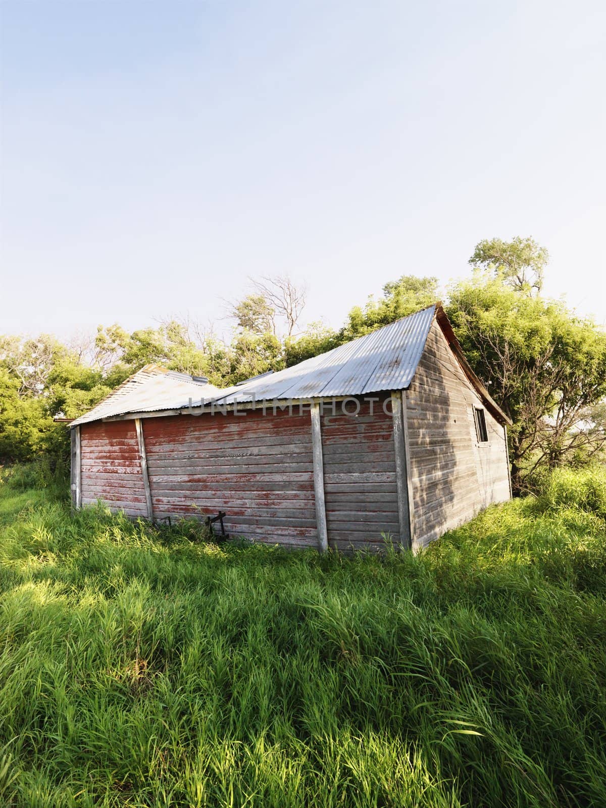 Abandoned wooden barn in state of disrepair in lush field.