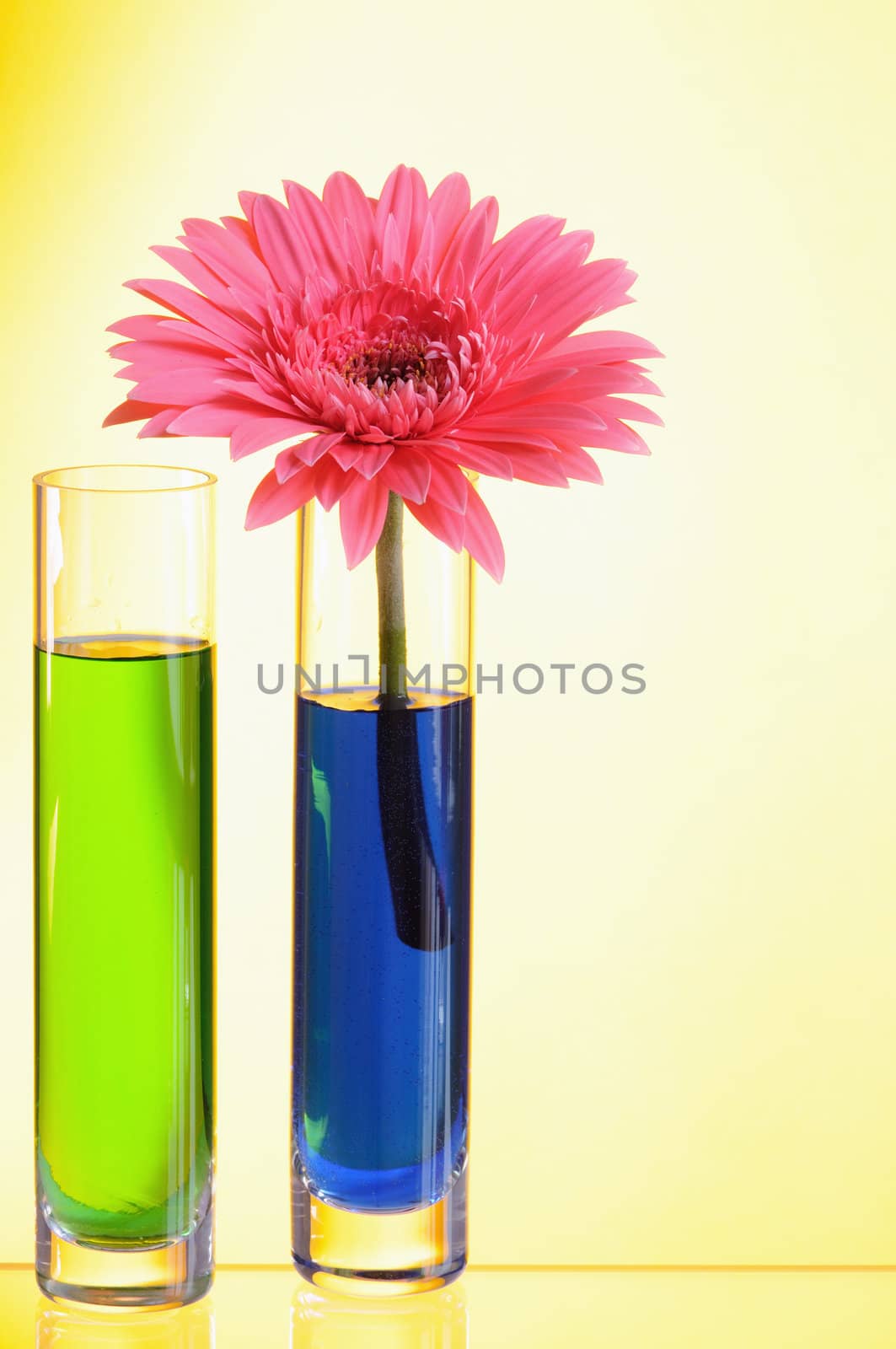 Vases with multi-coloured water on yellow background