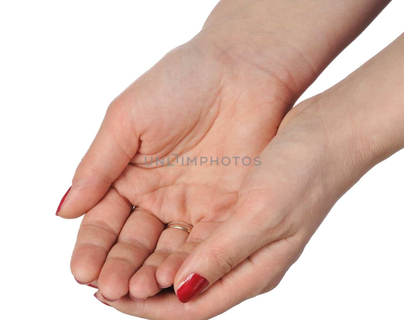 Female palms isolated on white background