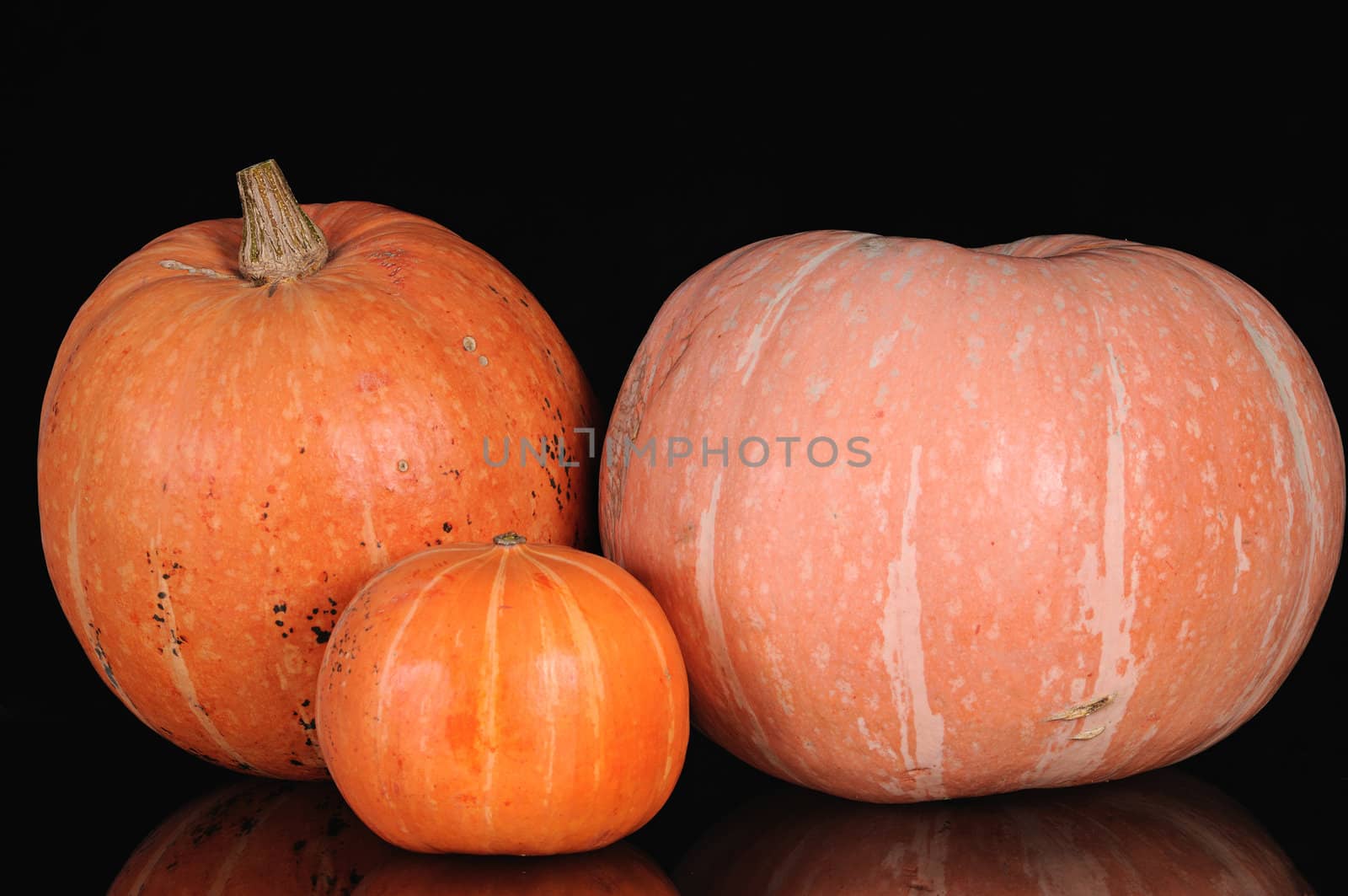 three orange pumpkins shooting on black background