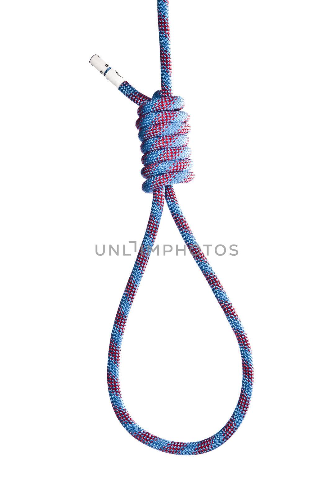isolated hanging noose rope over white background