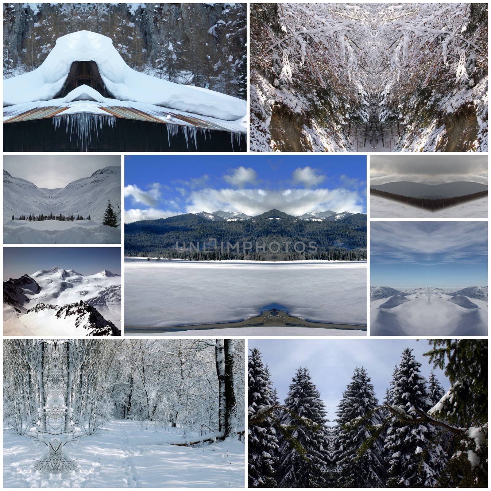 Winter Scenery collage by Baltus