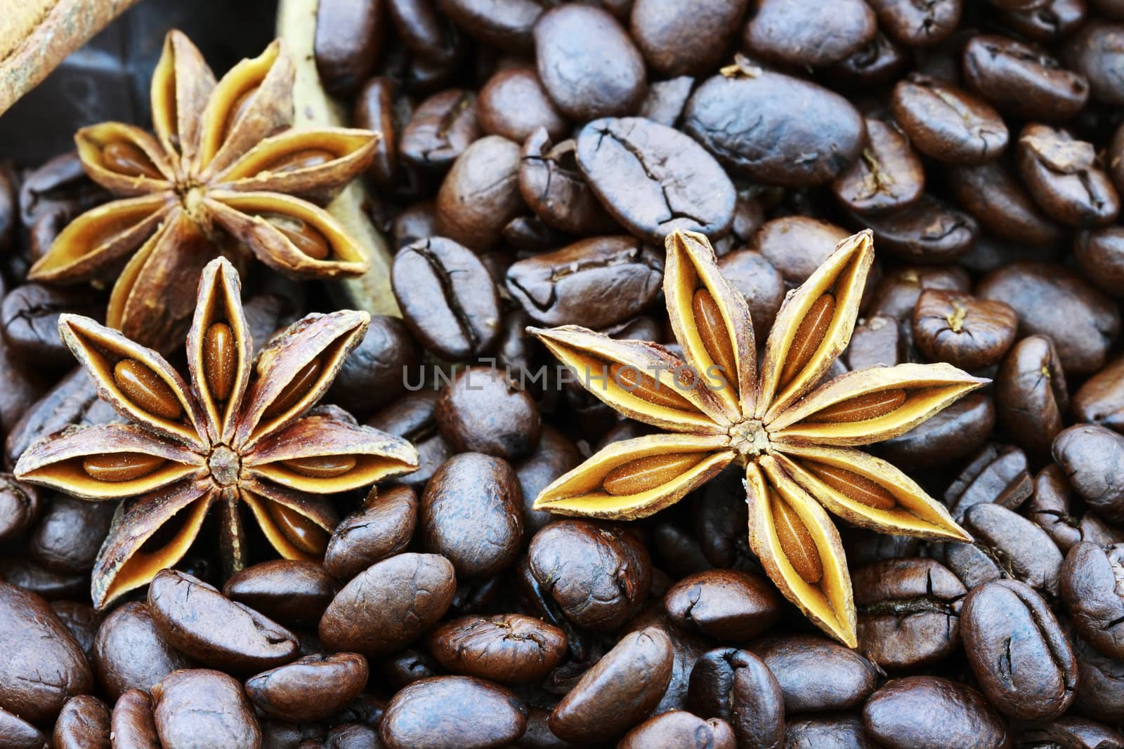 Star Anise and Coffee Beans by StephanieFrey