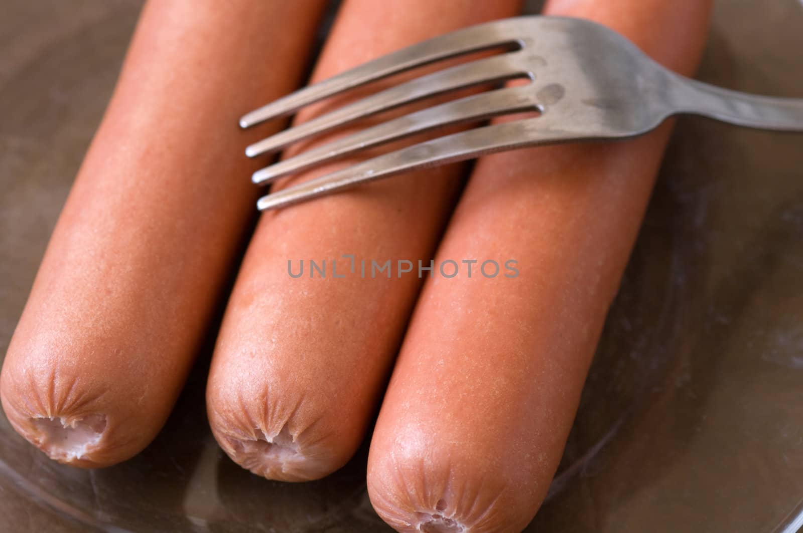 Sausage on a plate and a plug. A close up