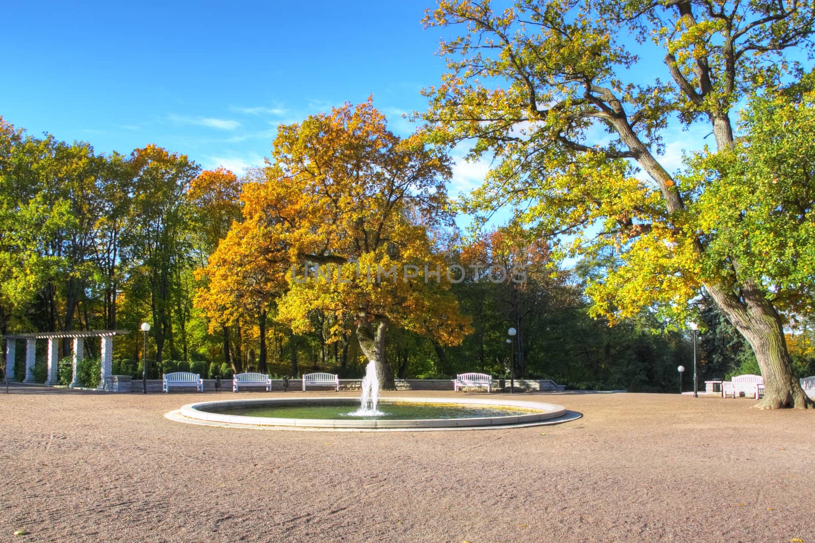 autumn park with fountain