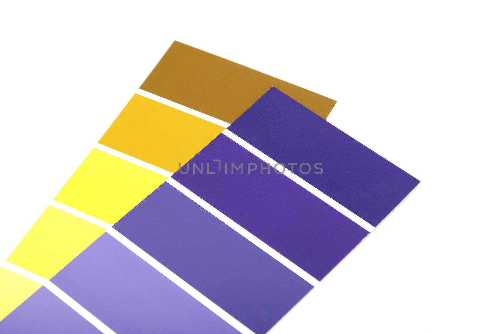 A yellow and purple paint sample on white background.