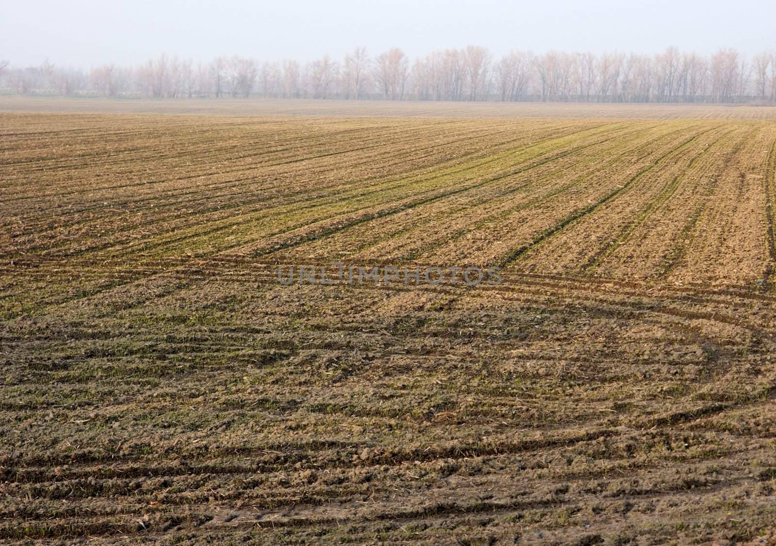 Bare agricultural field in autumn