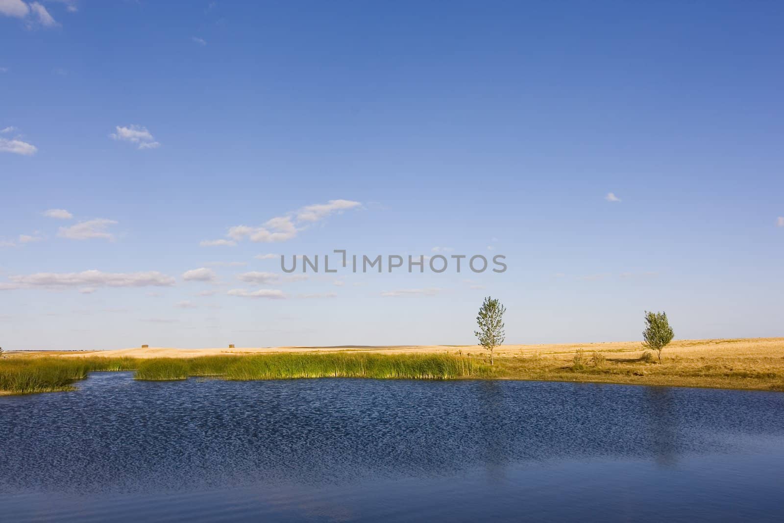 lonely lake by Trebuchet