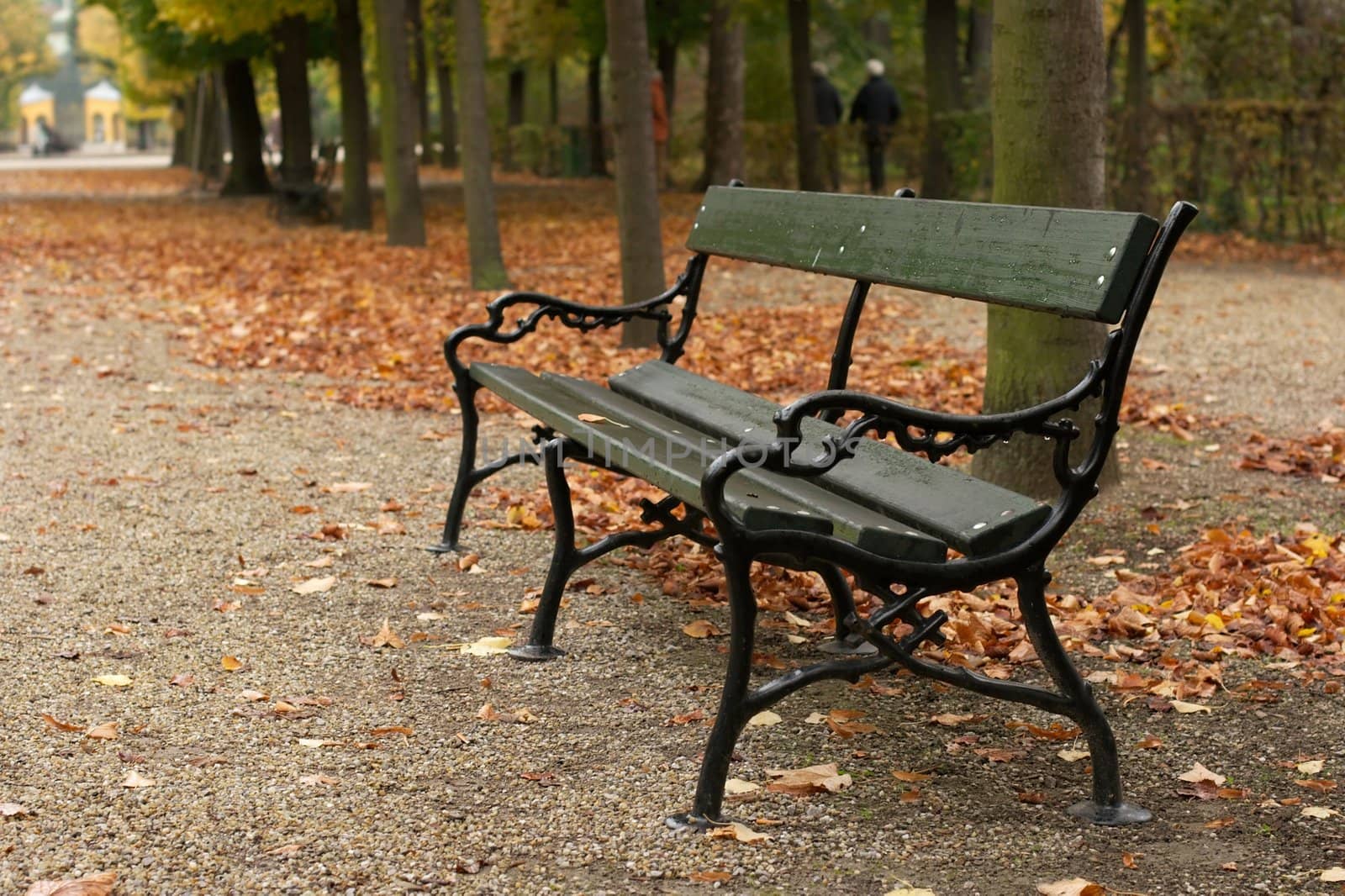 Bench in an autumn park with fallen leaves