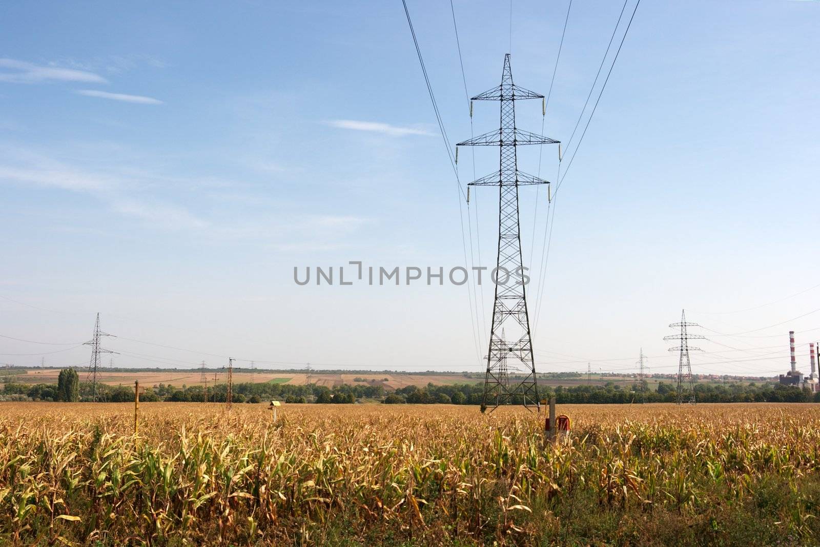 High voltage electric lines going through an agricultural field