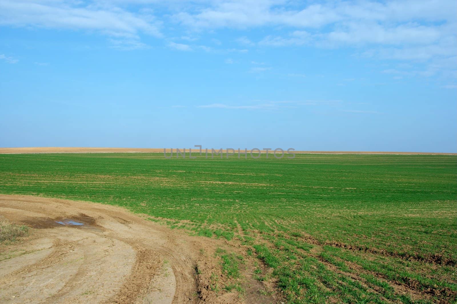 Green field under clear blue sky with some clouds