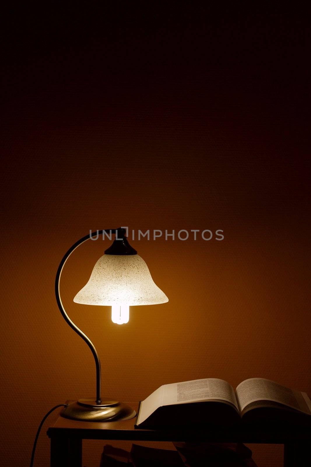 Small lamp illuminating a book in the night