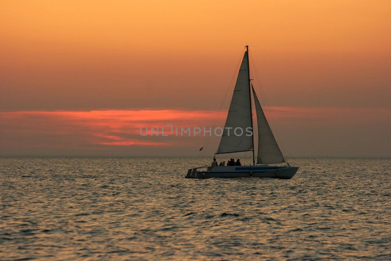 Sailing in the sunset
