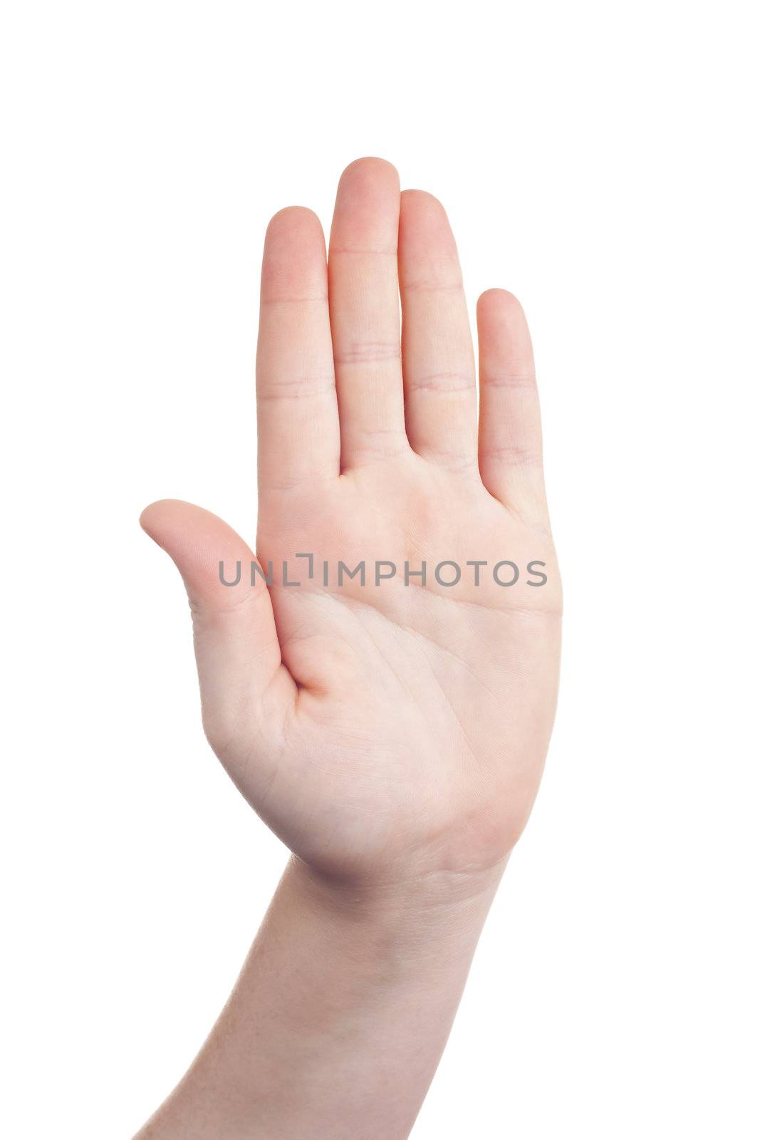 hand sign symbol by Trebuchet
