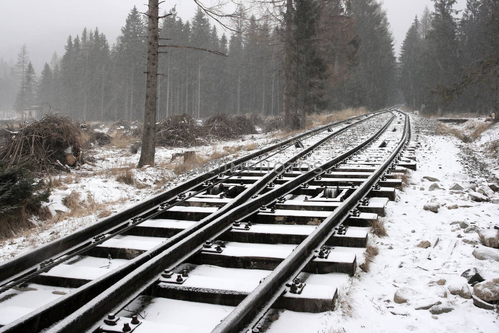 snowy railway track in a winter forest