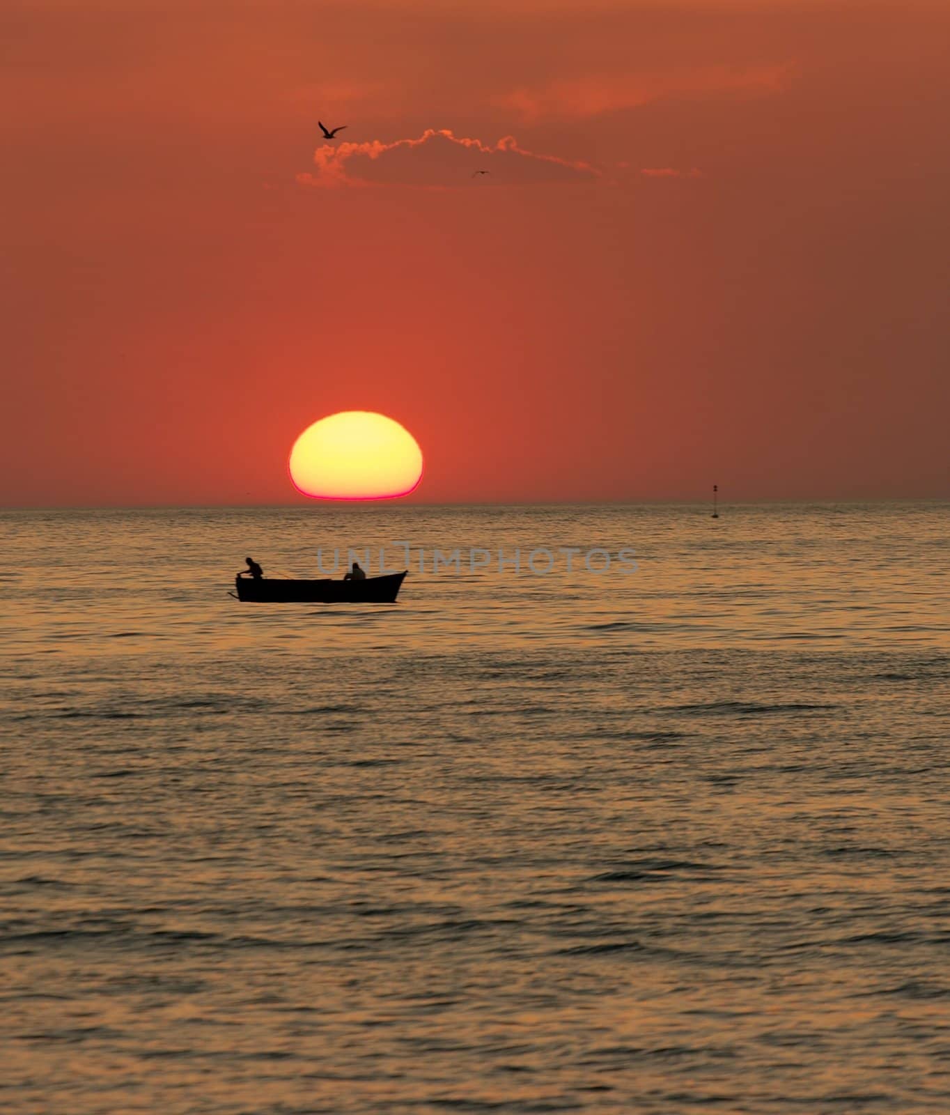 Sunset at the sea with the silhouette of a boat and a bird