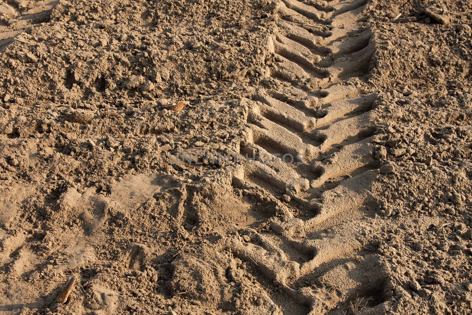 Tractor trail in the soil of an agricultural filed