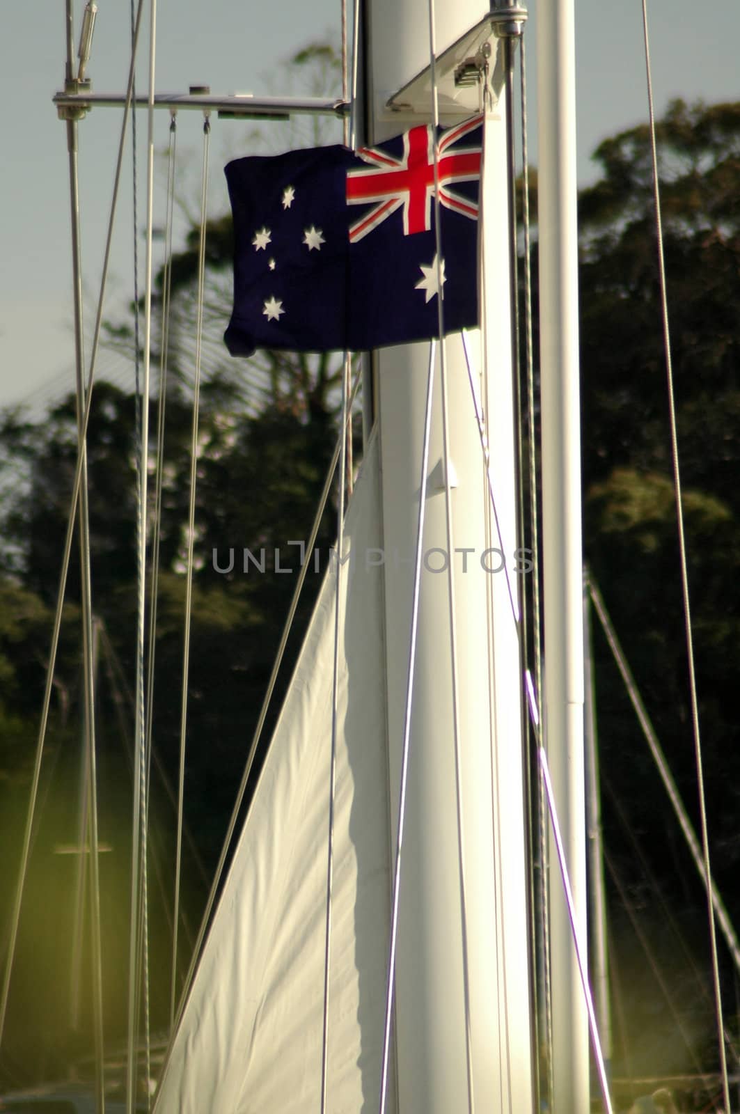 australia sailing by rorem