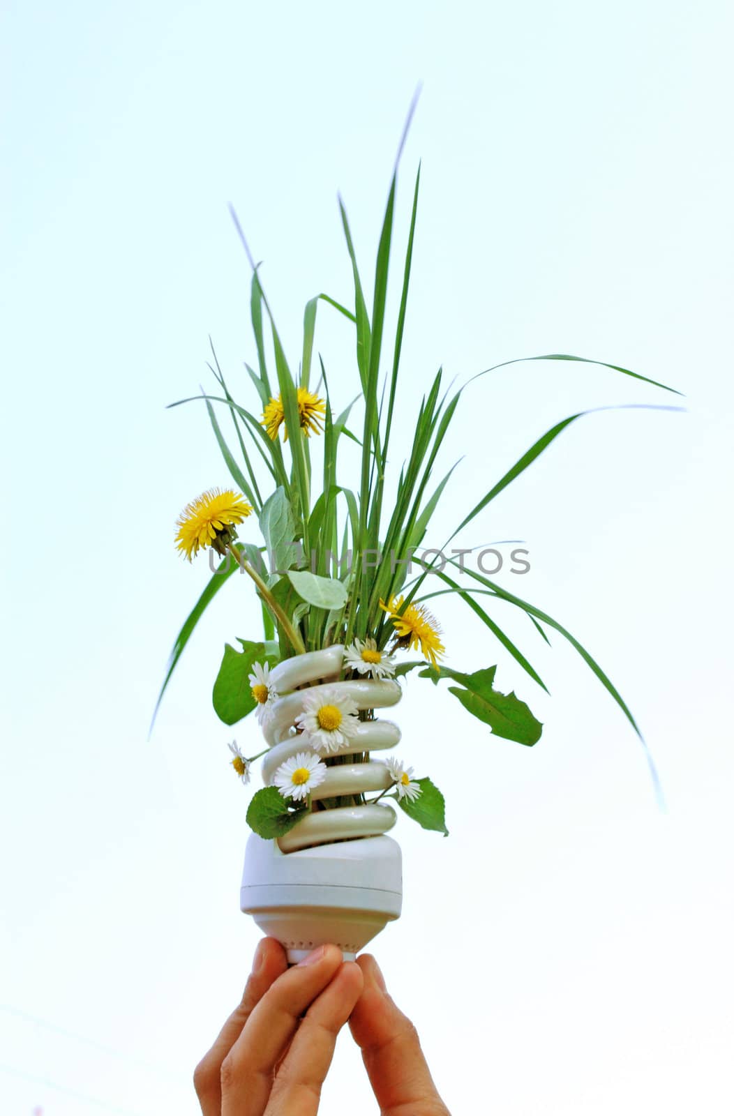 ecologic light bulb with green plants and flowers