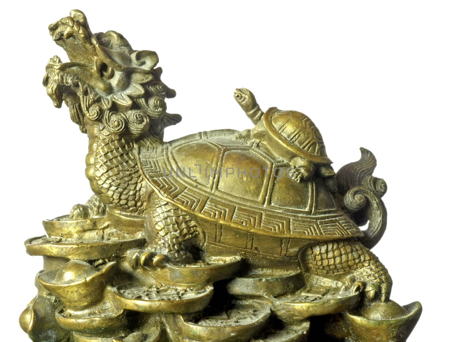chinese turtle
