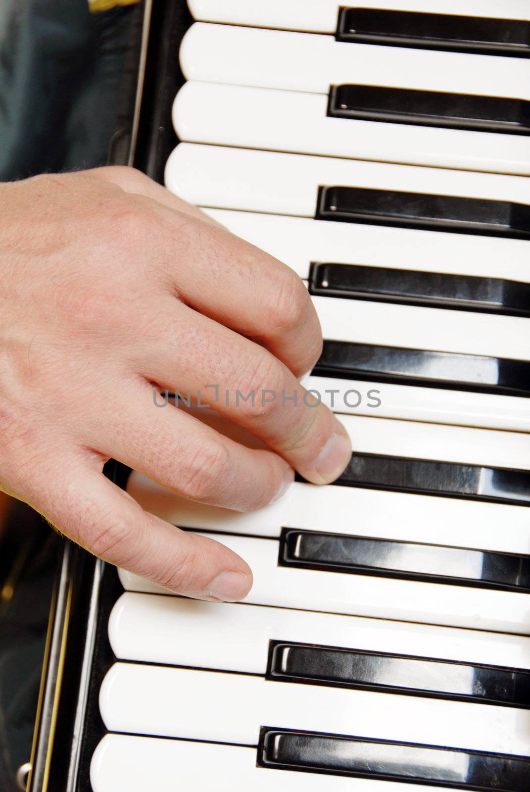 musician hand playing accordion