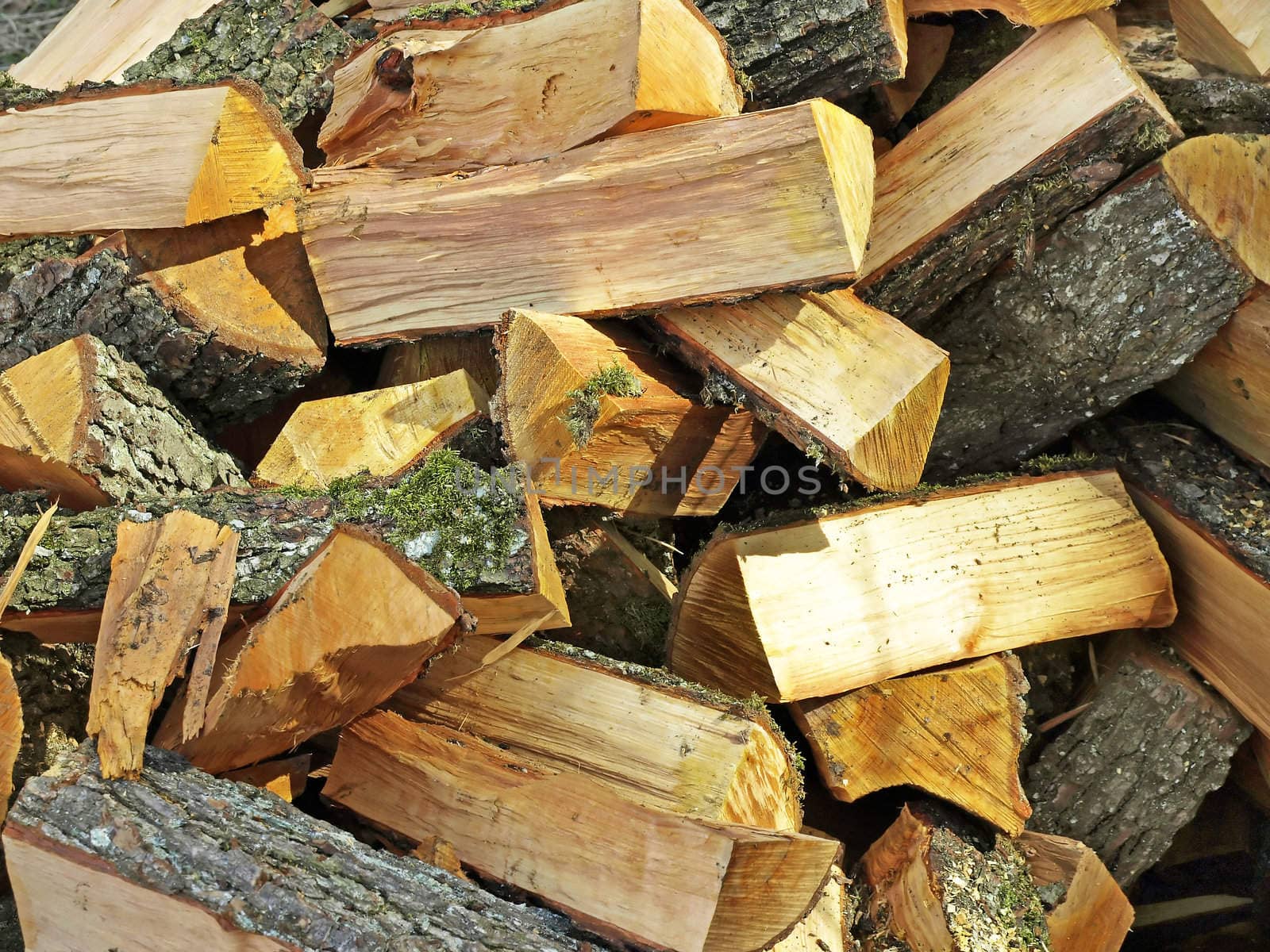 fuel wood by Jochen