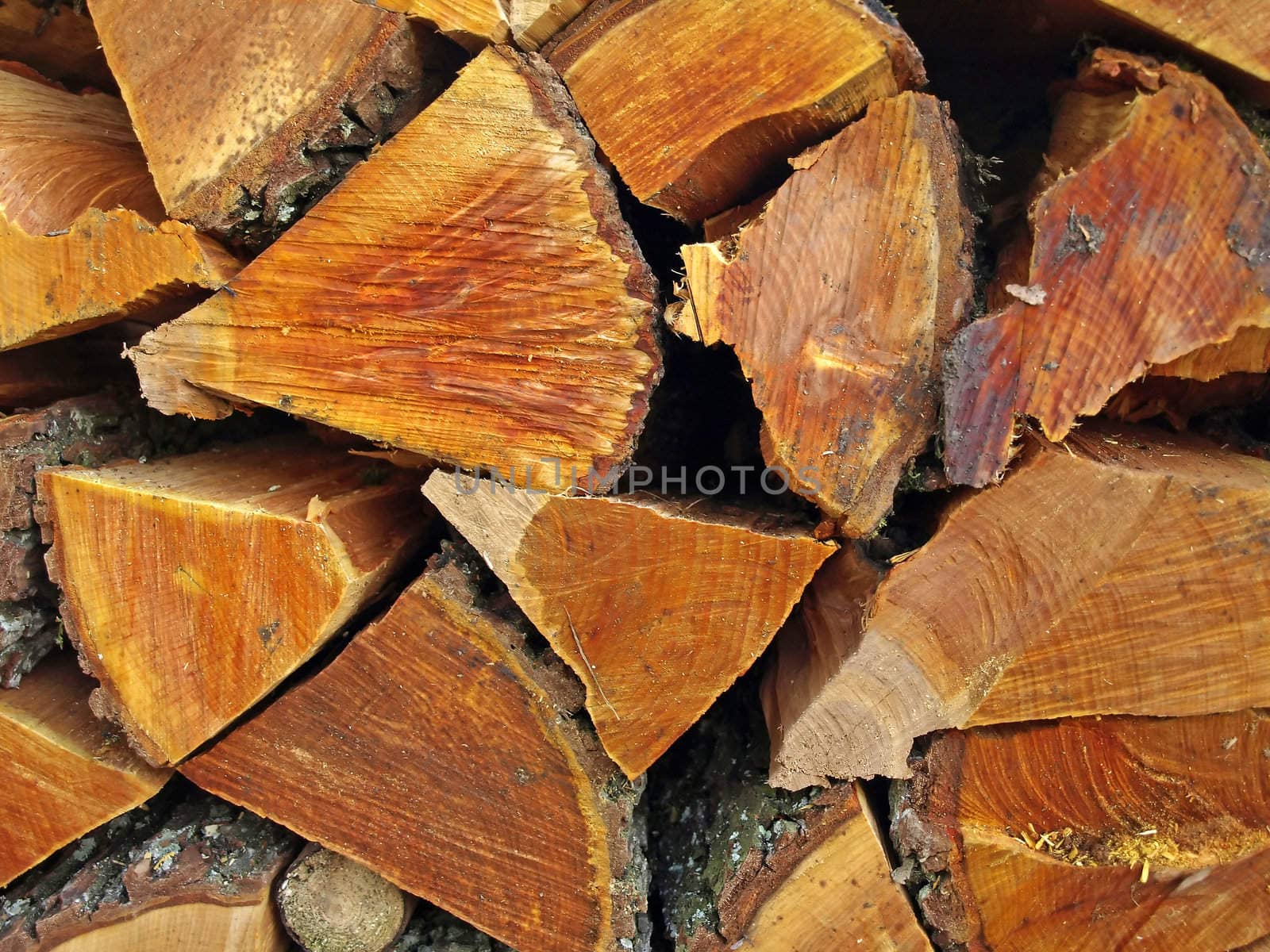 fuel wood by Jochen