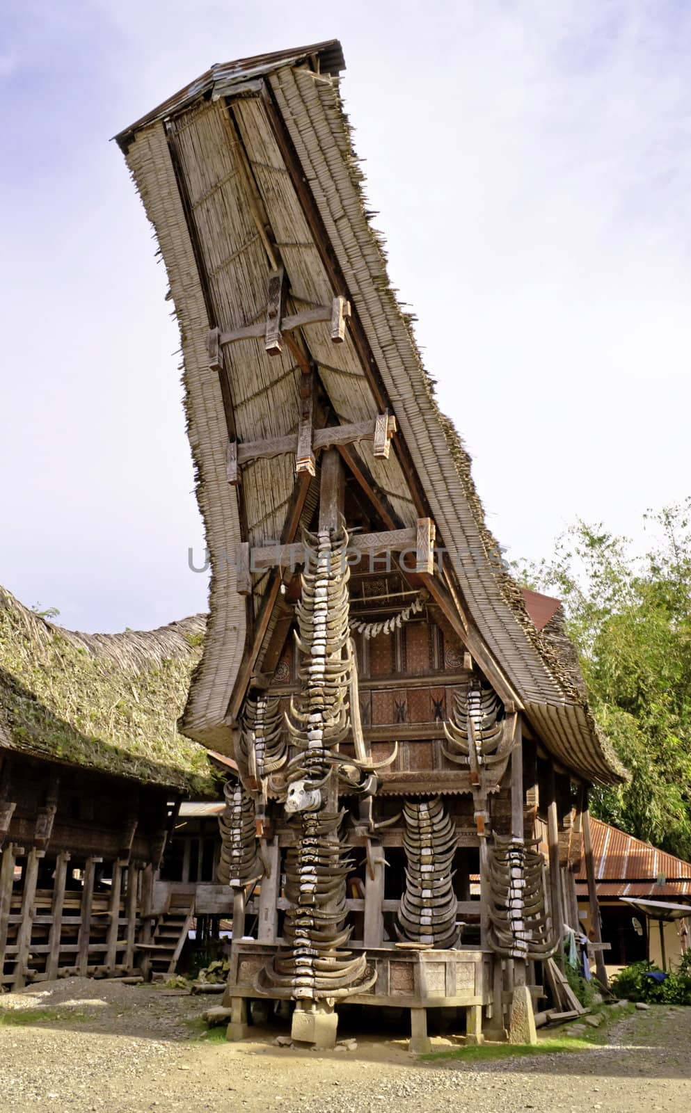 Toraja traditional village by rigamondis