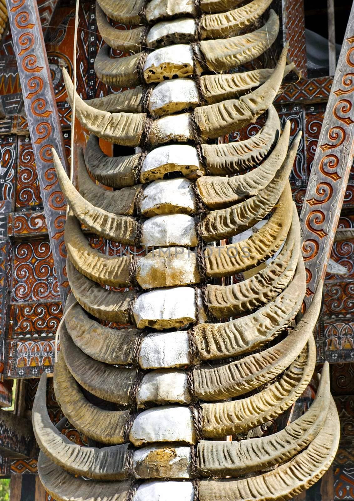 Toraja Traditional horn house symbolism detail in Toraja culture