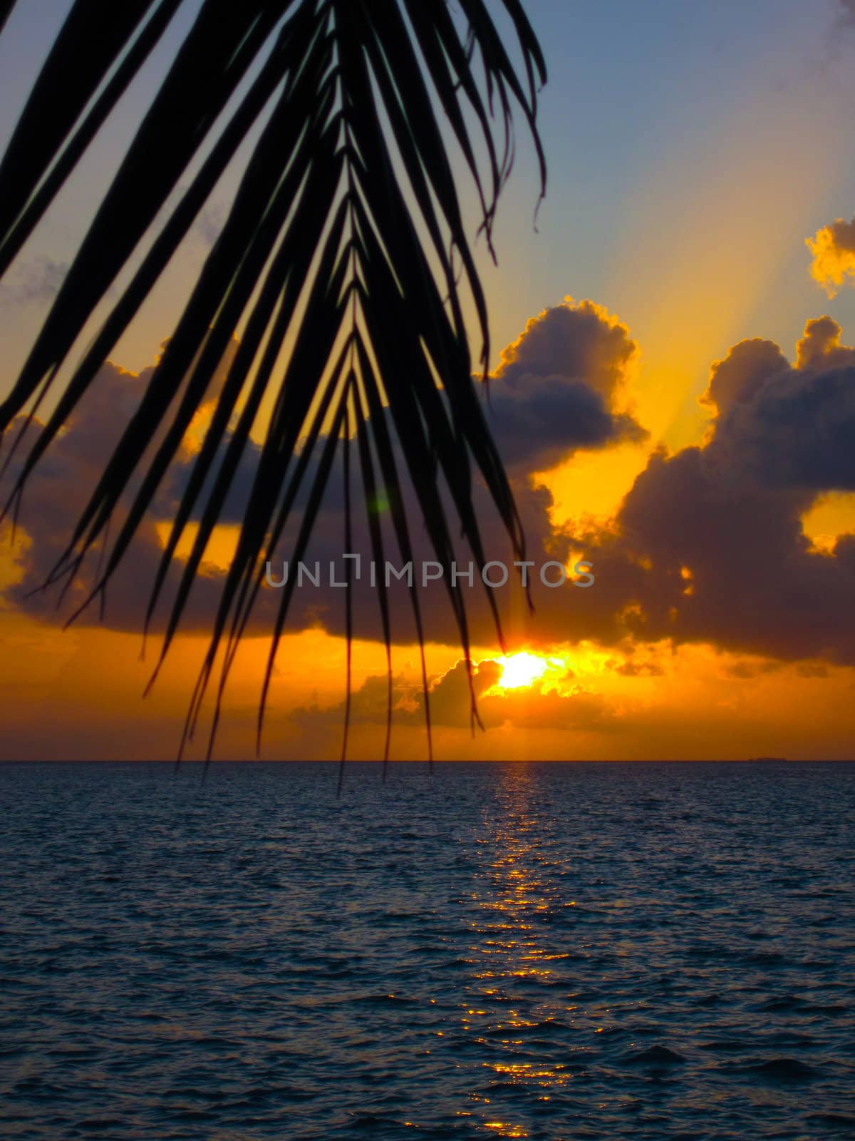 Maldivian Sunset by anobis
