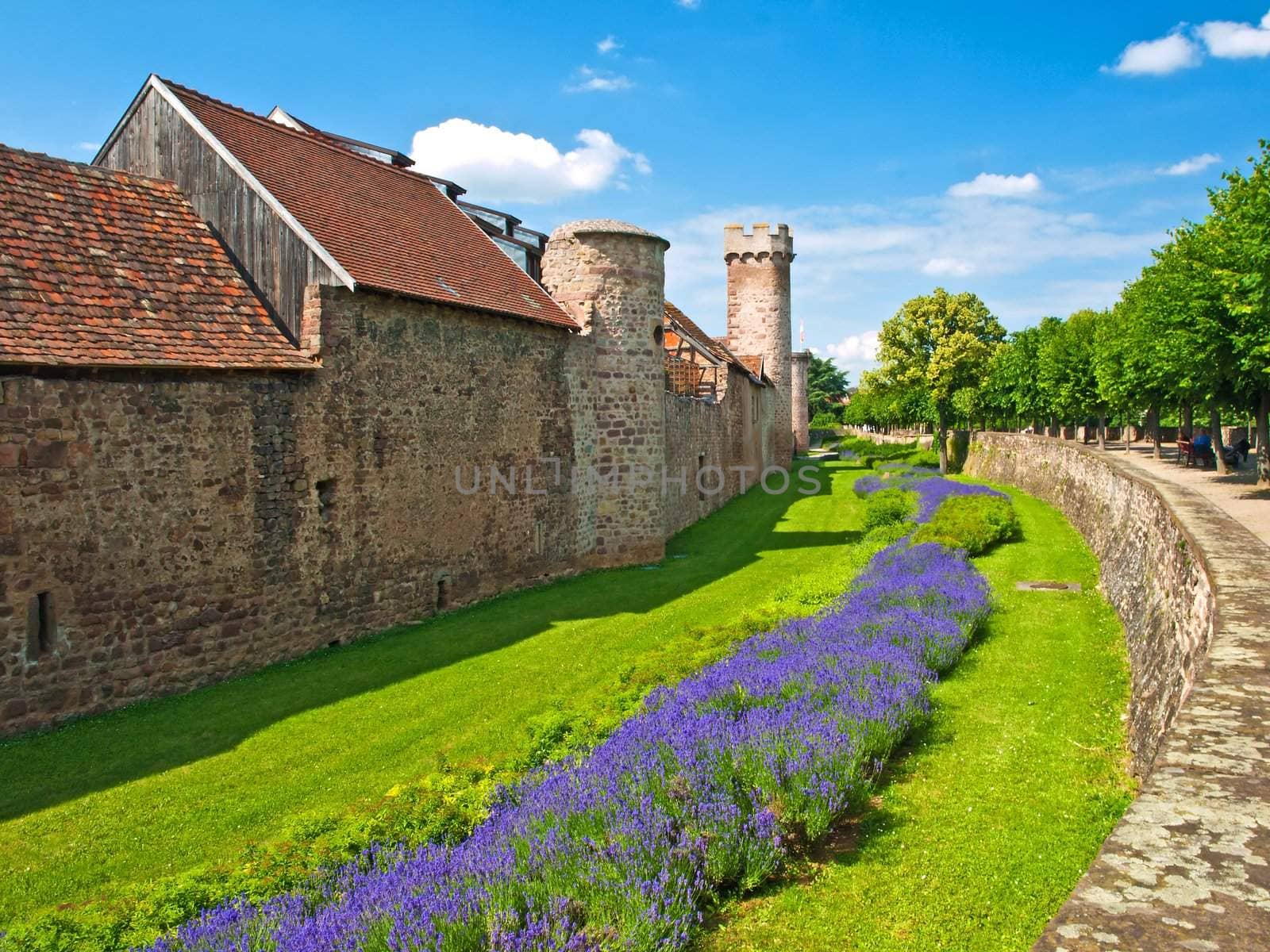 old medieval citywall in France ,Alsace