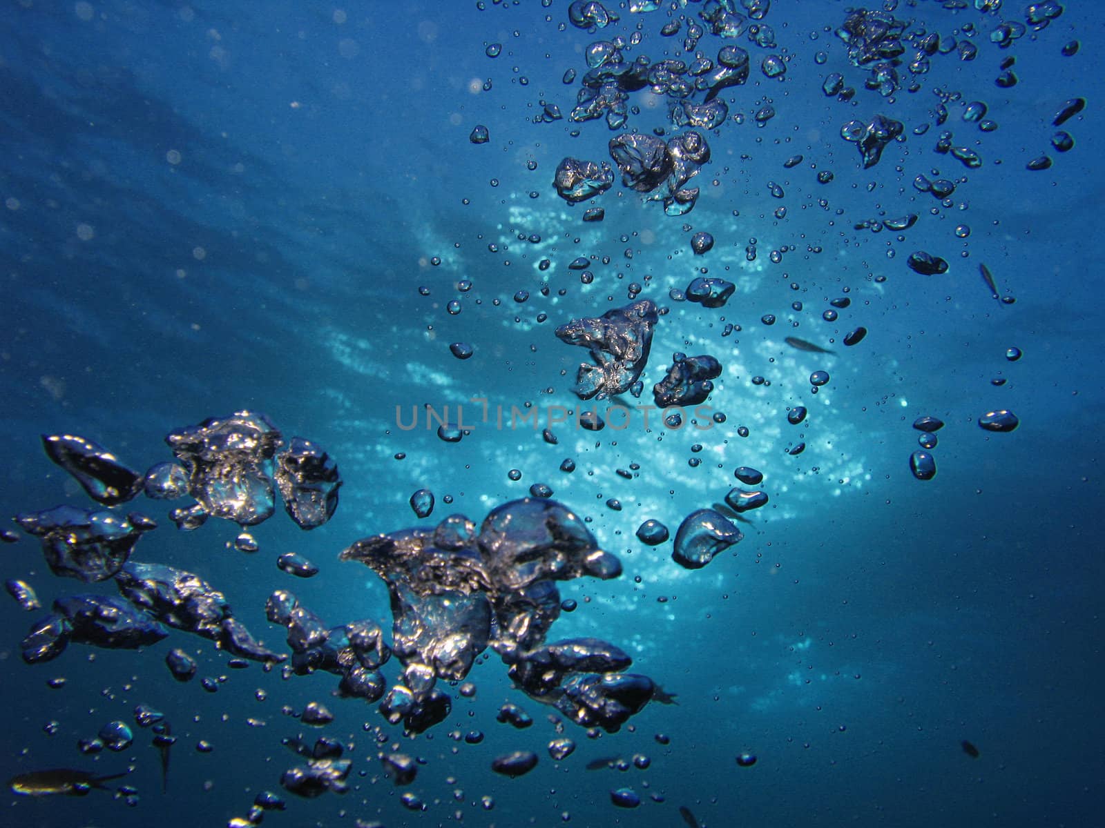 Sea bubbles in back-light.