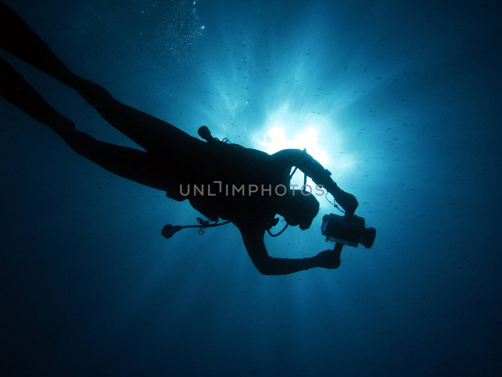 Underwater cameraman in back-light.