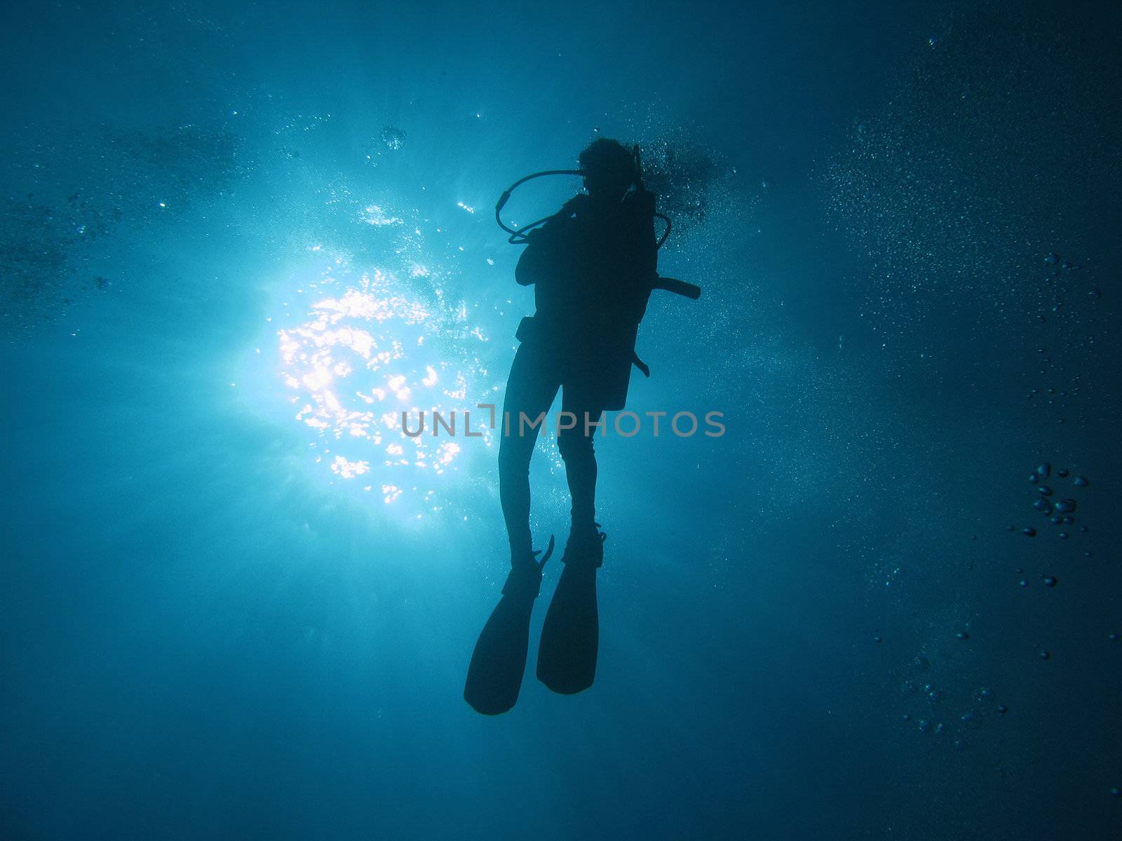 Diver in backlight and bubbles.