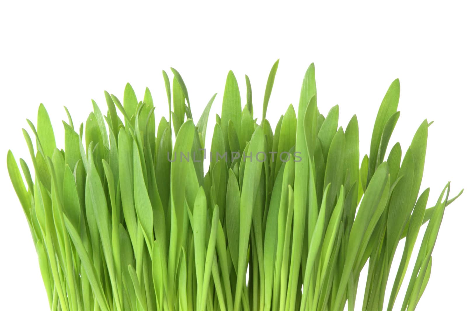 Green grass isolated by BDS