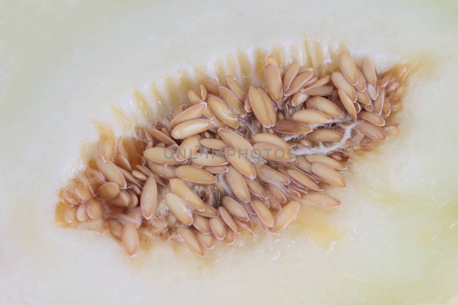 Melon inside background with seeds