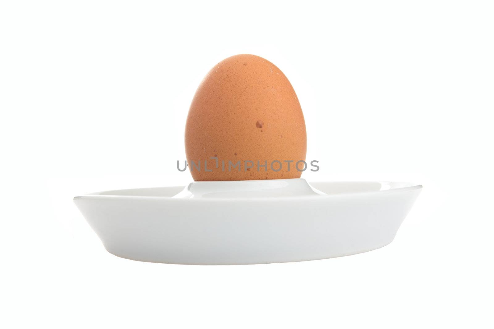 Chicken egg isolated by BDS