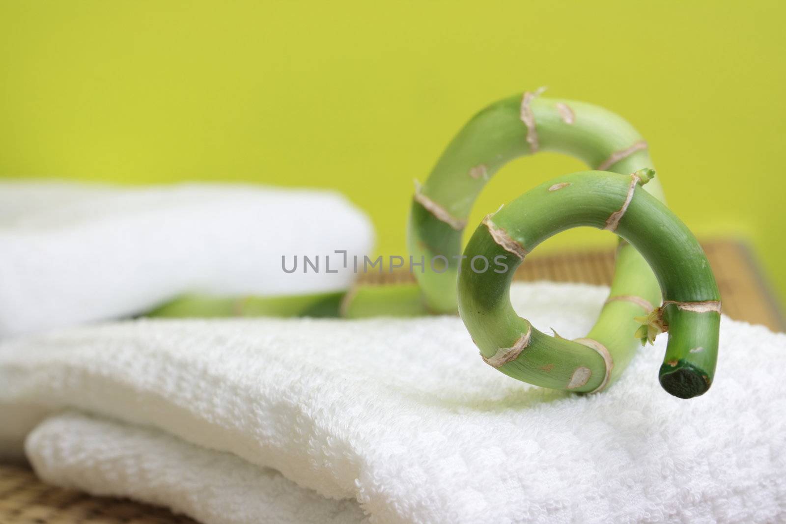 Spa design with lucky bamboo on towel